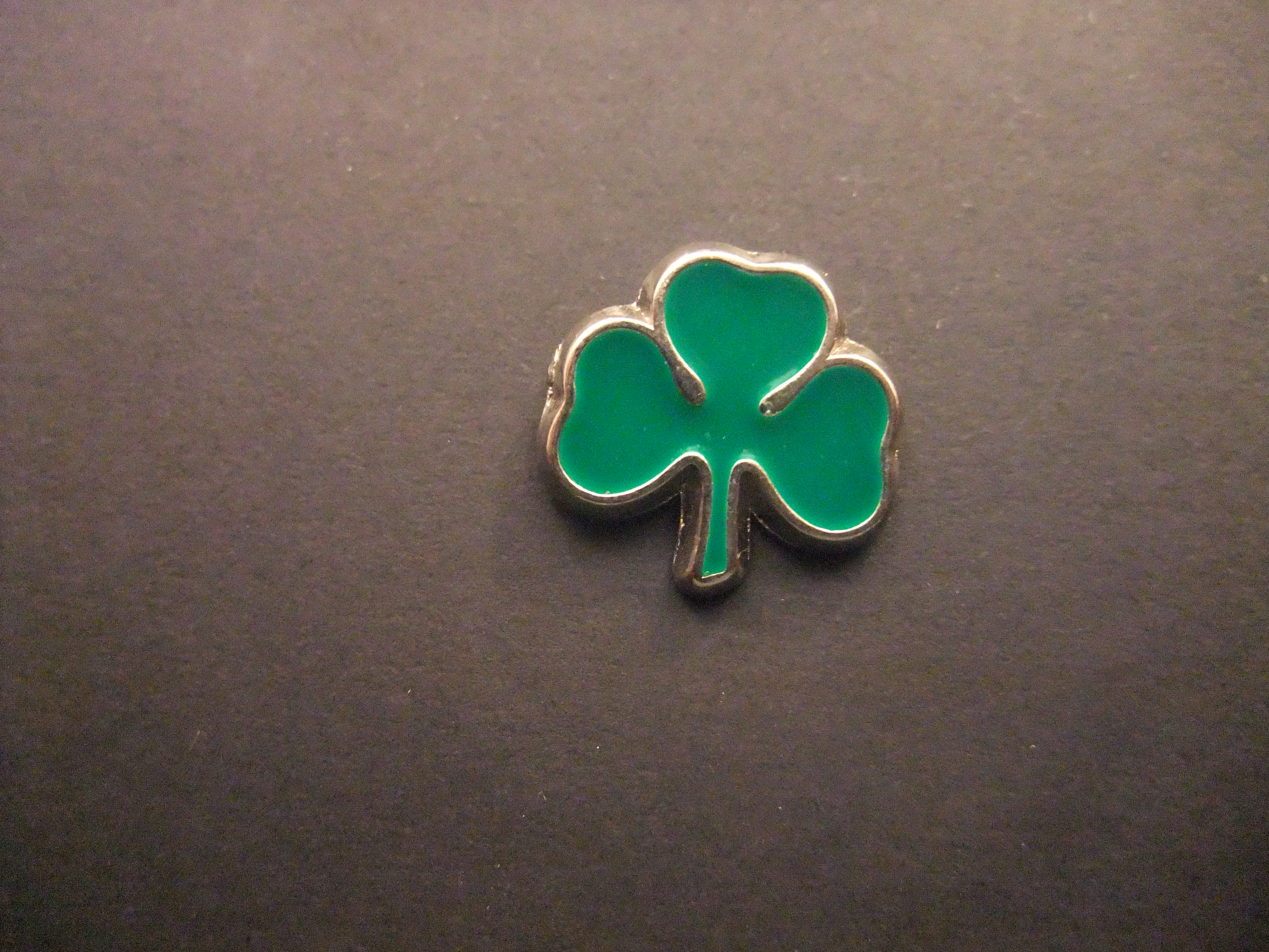 Shamrock ( klaver drie ) Iers nationaal symbool